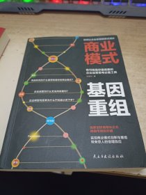 商业模式基因重组:让企业跳跃式增长的运营思考必备工具