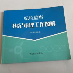 纪检监察执纪审理工作图解