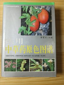 实用中草药原色图谱（二）