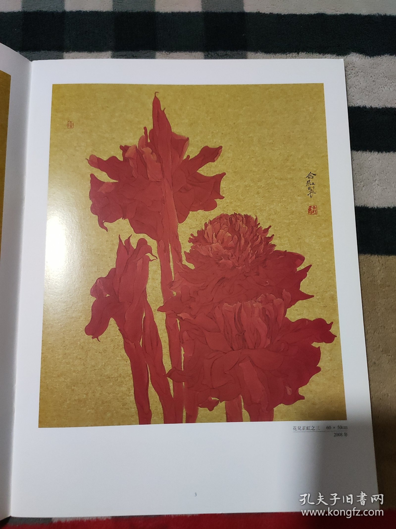 花儿正红 张合红画册