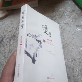 宁夏文学精品丛书—小说卷（下）