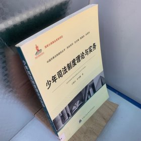 国家出版基金资助项目·中国刑事法制建设丛书·刑法系列：少年司法制度理论与实务