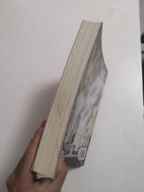 石鲁的时代与艺术