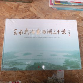 王承武油画西湖三十景 王承武人民出版社