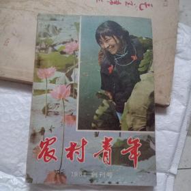 农村青年1984创刊号