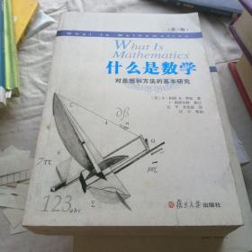 什么是数学：对思想和方法的基本研究