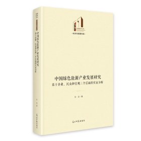 中国绿色能源产业发展研究：基于企业、民众和宏观三个层面的实分析 光明社科文 9787519484859