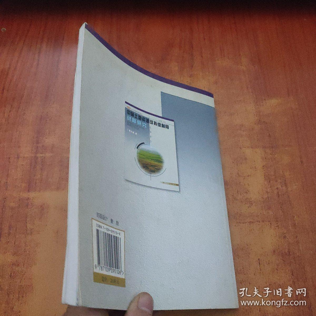 点击查看原图 中国中国土地资源可持续利用战略研究