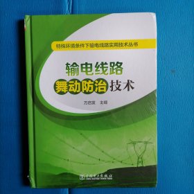 特殊环境条件下输电线路实用技术丛书 输电线路舞动防治技术