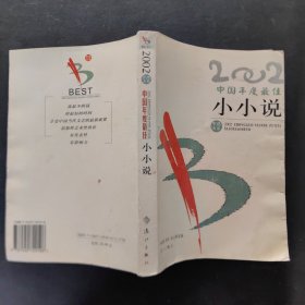 2002中国年度最佳小小说