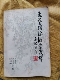 文藝?yán)碚摳拍顪\釋