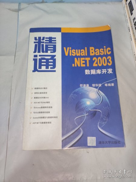 精通Visual Basic.NET 2003数据库开发