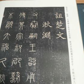 故宫藏品碑帖：元拓诅楚文