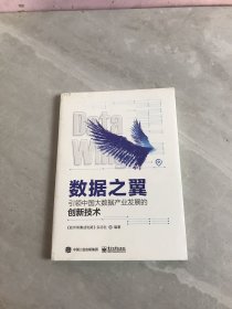 数据之翼 引领中国大数据产业发展的创新技术