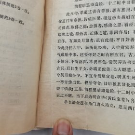 《金瓶梅词话》兰陵笑笑生著，带精补册子，戴鸿森校点。