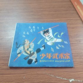 少年武术家