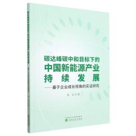 碳达峰碳中和目标下的中国新能源产业持续发展--基于企业成长视角的实证研究