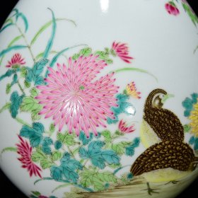 清雍正粉彩安居乐业纹蒜头瓶尺寸35*18.5厘米