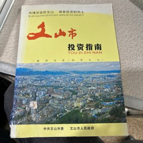 文山市投资指南