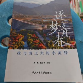 逐梦青春