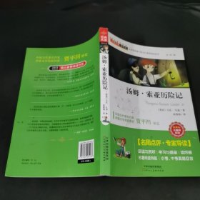 汤姆 索亚历险记