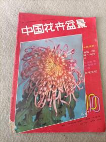 中国花卉1987.10