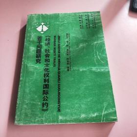 《经济、社会和文化权利国际公约》若干问题研究,