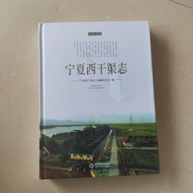 宁夏西干渠志硬精装