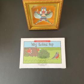 LEVELED BOOK·I:Why Robins Hop【全六册 全新塑封未拆】