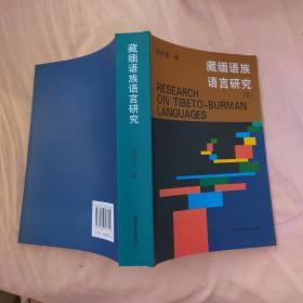 藏缅语族语言研究