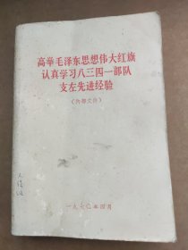 高举毛泽东思想伟大红旗认真学习八三四一部队支左先进经验