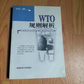 WTO规则解析