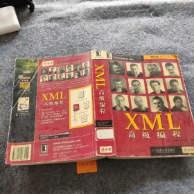XML 高级编程