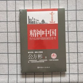 看当下中国书系·精神中国：当今信仰问题的深层思考