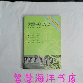 夹缝中的历史