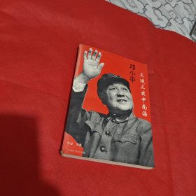 邓小平三进三出中南海