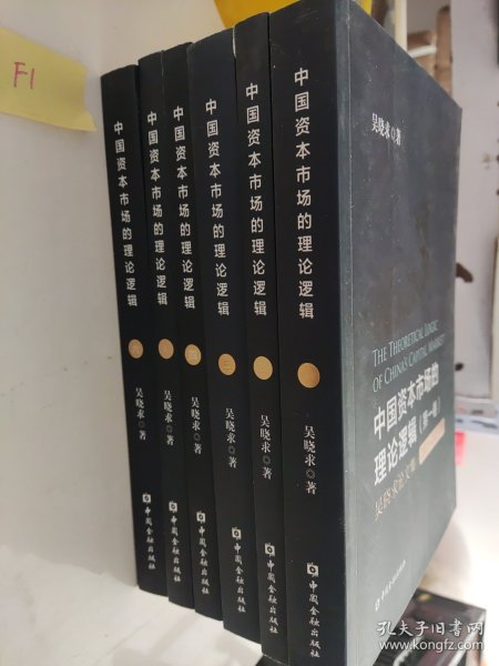 中国资本市场的理论逻辑(第六卷)：吴晓求访谈集(2009～2020.03)