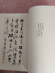 谢冰岩書法集（上、下）