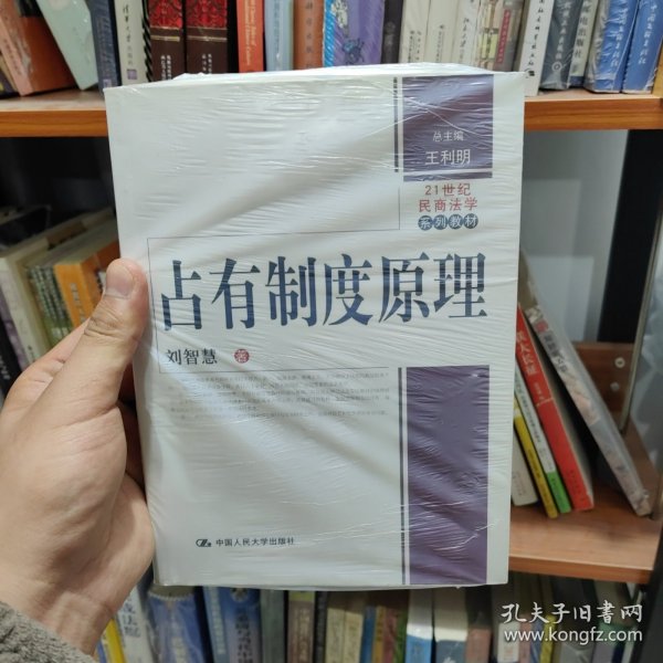 21世纪民商法学系列教材：占有制度原理