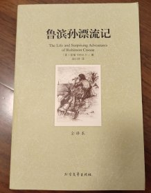 鲁滨孙漂流记(外国经典名著·全译本)