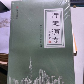 行走浦东