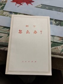 列宁——怎么办？R