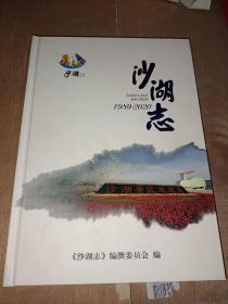 沙湖志