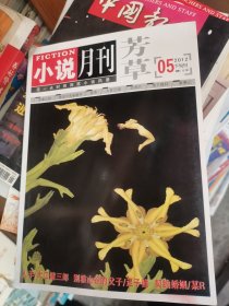 小说月刊芳草2012年第5期下旬刊