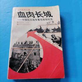 血肉长城：中国抗日战争著名战役纪实