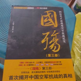国殇第三部（国民党正面战场空军抗战纪实）