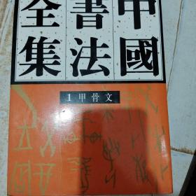 中国书法全集：甲骨文1