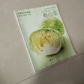 小聪仔科普版 卷心菜