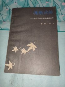 魂断武岭