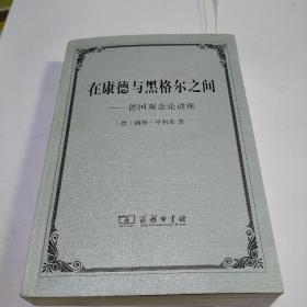 在康德与黑格尔之间：德国观念论讲座